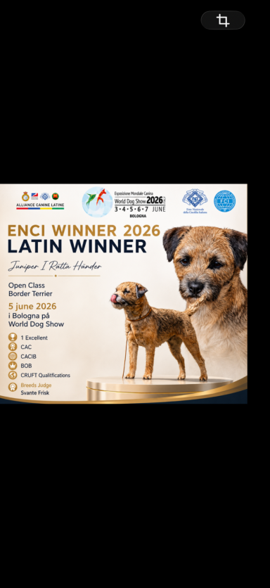 ENCI WINNER LATIN WINNER WDS BOLOGNA 20926